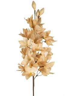 Eurofirany KW/FLORE/797/JB J. BEIGE