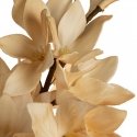 Eurofirany KW/FLORE/797/JB J. BEIGE Eurofirany KW/FLORE/797/JB J. BEIGE