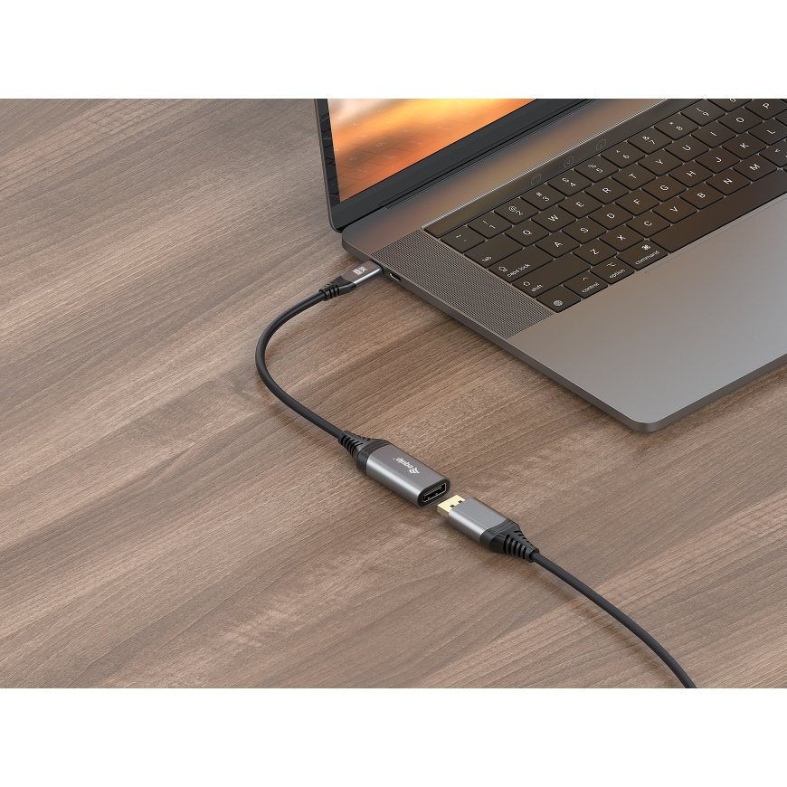 Equip 133493 vaizdo kabelio adapteris 0,15 m C tipo USB DisplayPort Juoda, Pilka – 3