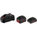 Bosch 1600A0214A Werkzeug-Akku 18 V 8.0 Ah Aku ja laadija komplekt Bosch 1600A0214A Werkzeug-Akku 18 V 8.0 Ah Aku ja laadija komplekt