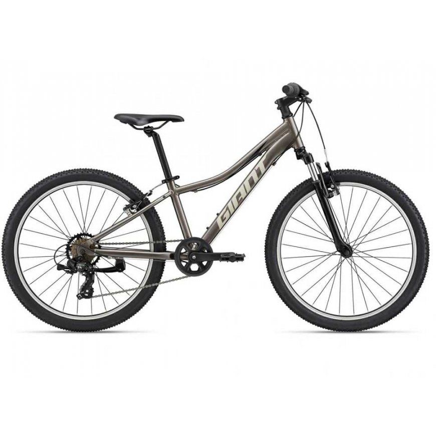 Giant Mountain bike Giant XTC Jr