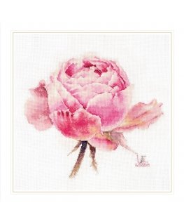 Beldizart Watercolor roses. Pink exclusive S2-53