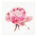 Beldizart Watercolor roses. Pink exclusive S2-53 Beldizart Watercolor roses. Pink exclusive S2-53