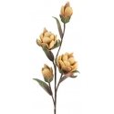 Eurofirany KW/FLORE/801/JB L. BROWN+YELLOW Eurofirany KW/FLORE/801/JB L. BROWN+YELLOW