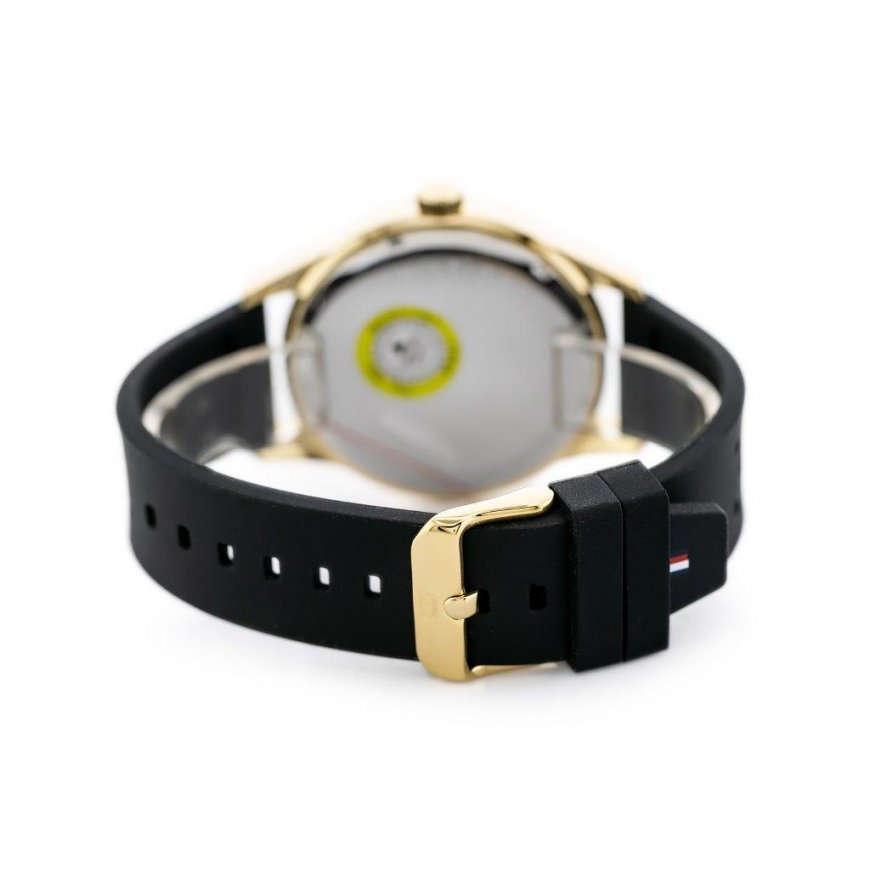 MEN'S WATCH TOMMY HILFIGER AUSTIN (zf017a) – 5
