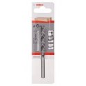 Bosch 2 608 596 303 grąžto antgalis Greitas grąžtas 1 vnt Bosch 2 608 596 303 grąžto antgalis Greitas grąžtas 1 vnt