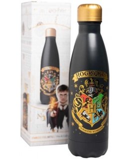 Ruostumattomasta teräksestä valmistettu juomapullo ERIK Harry Potter Tylypahka, 500 ml