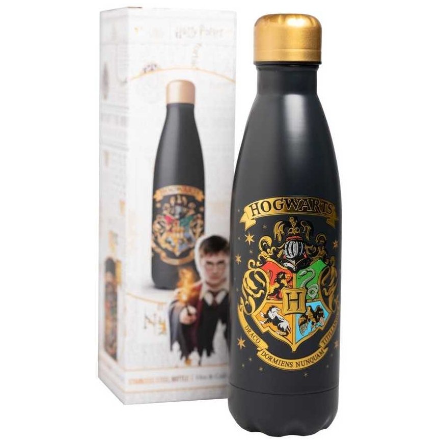 ERIK Stainless steel drinking bottle ERIK
