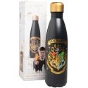 Ruostumattomasta teräksestä valmistettu juomapullo ERIK Harry Potter Tylypahka, 500 ml