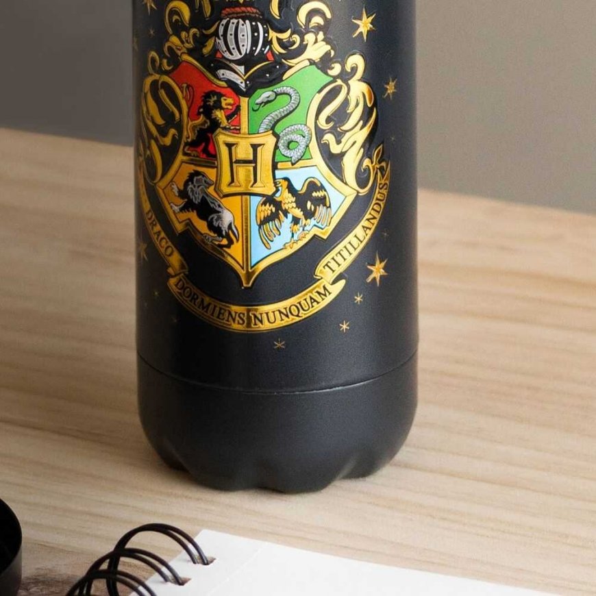 Stainless steel drinking bottle ERIK Harry Potter Hogwarts, 500 ml – 2