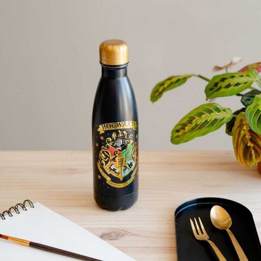 Nerūdijančio plieno gertuvė ERIK Harry Potter Hogwarts, 500 ml – 4