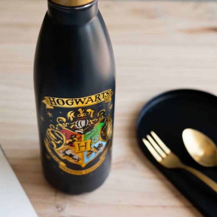 Stainless steel drinking bottle ERIK Harry Potter Hogwarts, 500 ml – 5