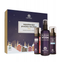 CREAM Renovality Original Series Renovality Original Series SET Face Serum 30ml + Rose Vanduo 100ml + Day Kreminis 30ml Veido ka