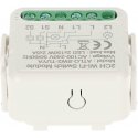 TST KAKSOISNÄLYKÄS LED-VALAISTUKSEN OHJAIN ATLO-SW2-TUYA Wi-Fi, Tuya Smart