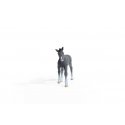schleich HORSE CLUB 13944 rotaļu figūriņa/varonis