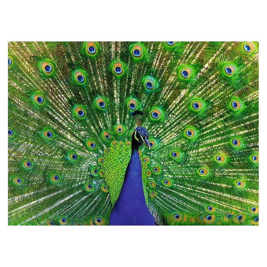 Ravensburger 12001332 Pusle 500 tk Animals – 2