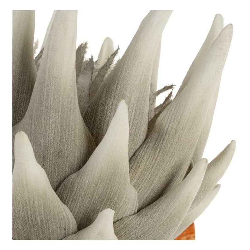 Eurofirany KW/FLORE/792/POP POPI – 2