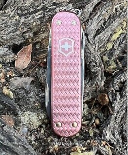 Victorinox Classic SD Precious Alox Gentle Rose