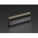 Adafruit GPIO karpomas lizdas 2x20 kaiščių 2.54mm suderinamas su Raspberry Pi 4B/3B+/3B/Zero Adafruit GPIO karpomas lizdas 2x20 kaiščių 2.54mm suderinamas su Raspberry Pi 4B/3B+/3B/Zero