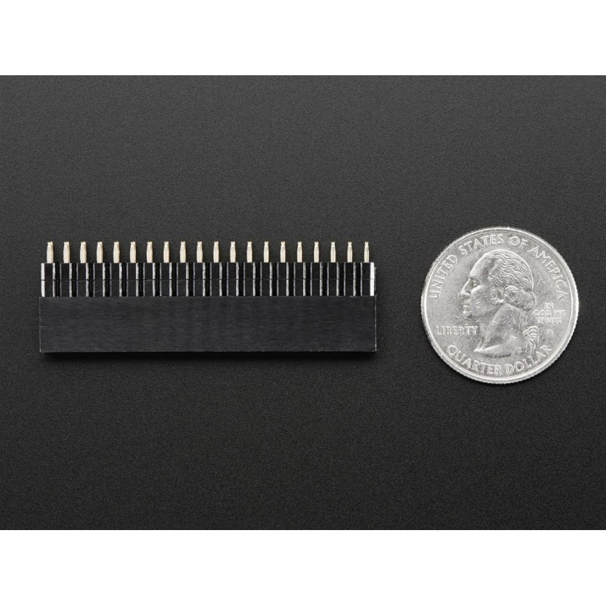 Adafruit GPIO header 2x20 pins 2.54mm compatible with Raspberry Pi 4B/3B+/3B/Zero – 2