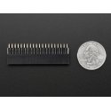 Adafruit GPIO header 2x20 pins 2.54mm compatible with Raspberry Pi 4B/3B+/3B/Zero Adafruit GPIO header 2x20 pins 2.54mm compatible with Raspberry Pi 4B/3B+/3B/Zero