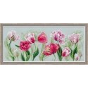 Uab Riolis Spring tulips 100/052 Uab Riolis Spring tulips 100/052