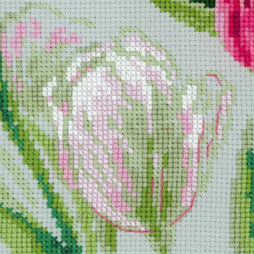 Uab Riolis Spring tulips 100/052 – 2