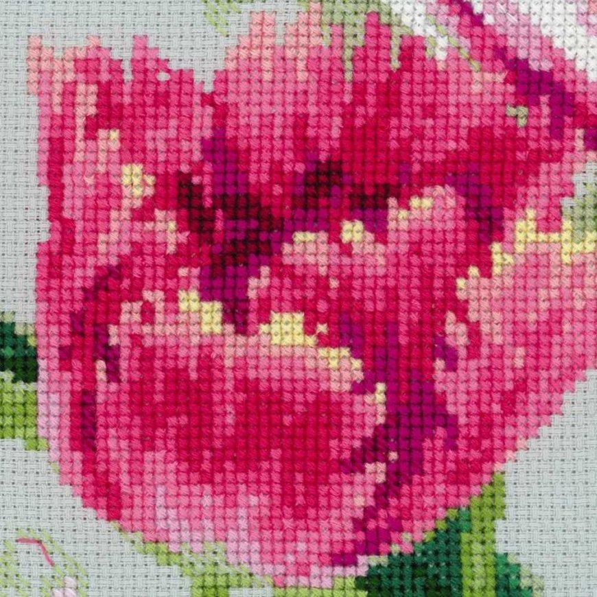 Uab Riolis Spring tulips 100/052 – 3