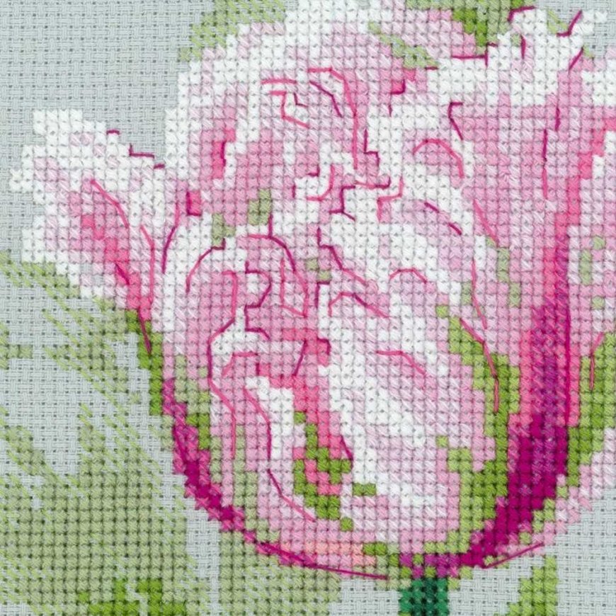 Uab Riolis Spring tulips 100/052 – 4