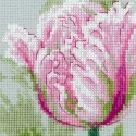Uab Riolis Spring tulips 100/052 Uab Riolis Spring tulips 100/052