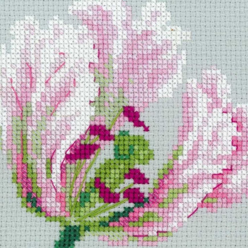 Uab Riolis Spring tulips 100/052 – 5
