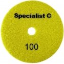 ASIANTUNTIJA+ timantti. hiomapaperi, yleiskäyttöinen, 125 mm, 100P ASIANTUNTIJA+ timantti. hiomapaperi, yleiskäyttöinen, 125 mm, 100P
