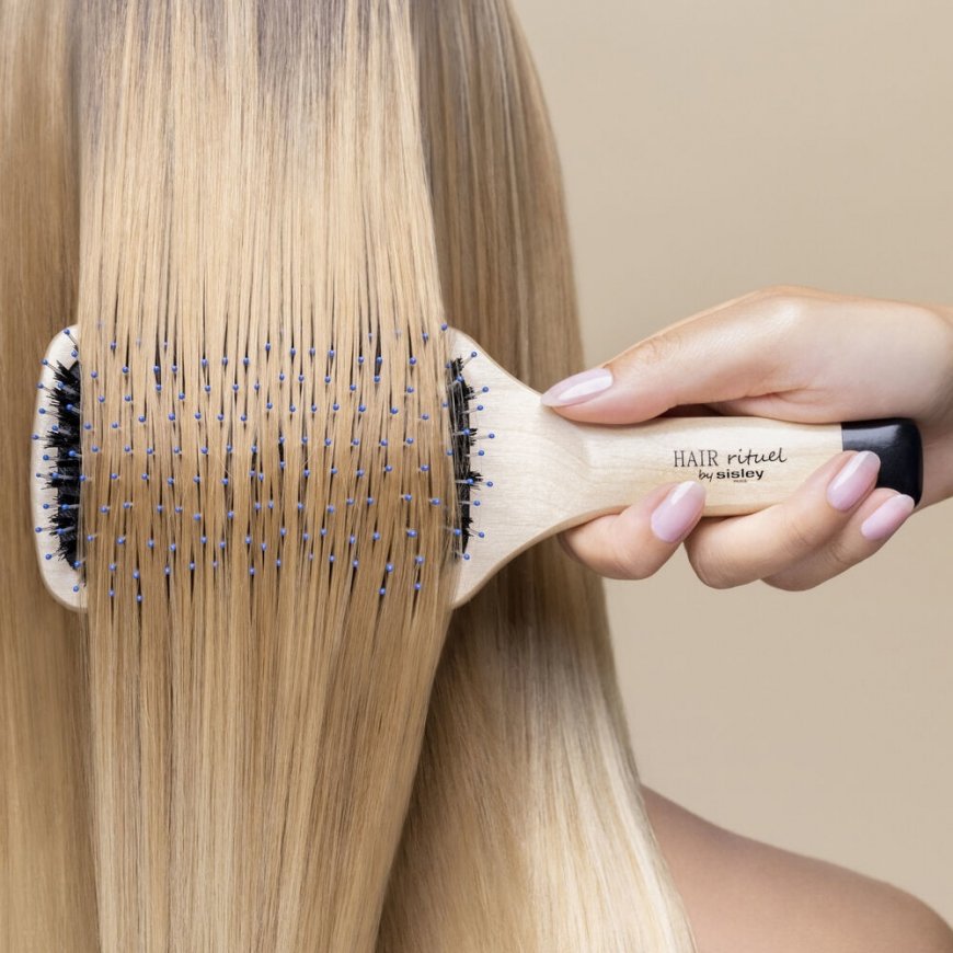 Sisley The Brush Universaali Leveä hiusharja musta, Puu 1 kpl – 3