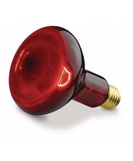 Beurer Replacement Lamp for Red Light and Infrared Lamps