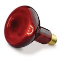 Beurer Replacement Lamp for Red Light and Infrared Lamps Beurer Replacement Lamp for Red Light and Infrared Lamps