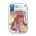 Staedtler 175 Multi spalvos 36 vnt Staedtler 175 Multi spalvos 36 vnt