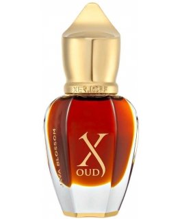 Xerjoff XJ Oud Java Blossom 15ml NIŠINIAI kvepalai Unisex