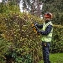 DeWALT DCMHT563N-XJ elektriskais dzīvžoga trimmeris Divkāršais asmens 2,9 kg DeWALT DCMHT563N-XJ elektriskais dzīvžoga trimmeris Divkāršais asmens 2,9 kg
