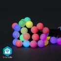 Nedis WIFILP02C48 decoration lighting Light decoration chain 48 bulb(s) LED 5.65 W G