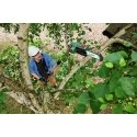 Bosch UniversalChainPole 18 4 m/s 3,19 kg Bosch UniversalChainPole 18 4 m/s 3,19 kg