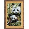 Uab Riolis Panda with cub 1159