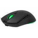 SPEEDLINK SL-680102-BK mouse Gaming USB Type-A 4800 DPI SPEEDLINK SL-680102-BK mouse Gaming USB Type-A 4800 DPI