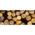 Einhell GE-LC 18 Li Kit Melns, Sarkans Einhell GE-LC 18 Li Kit Melns, Sarkans