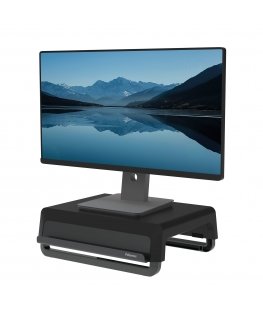 Fellowes 100016560 monitorin kiinnike ja jalusta Vastaanotto musta, Harmaa
