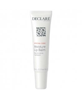 Declaré SPECIAL CARE kosteuttava huulivoide 15 ml
