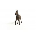 schleich HORSE CLUB 13946 детская фигурка schleich HORSE CLUB 13946 детская фигурка