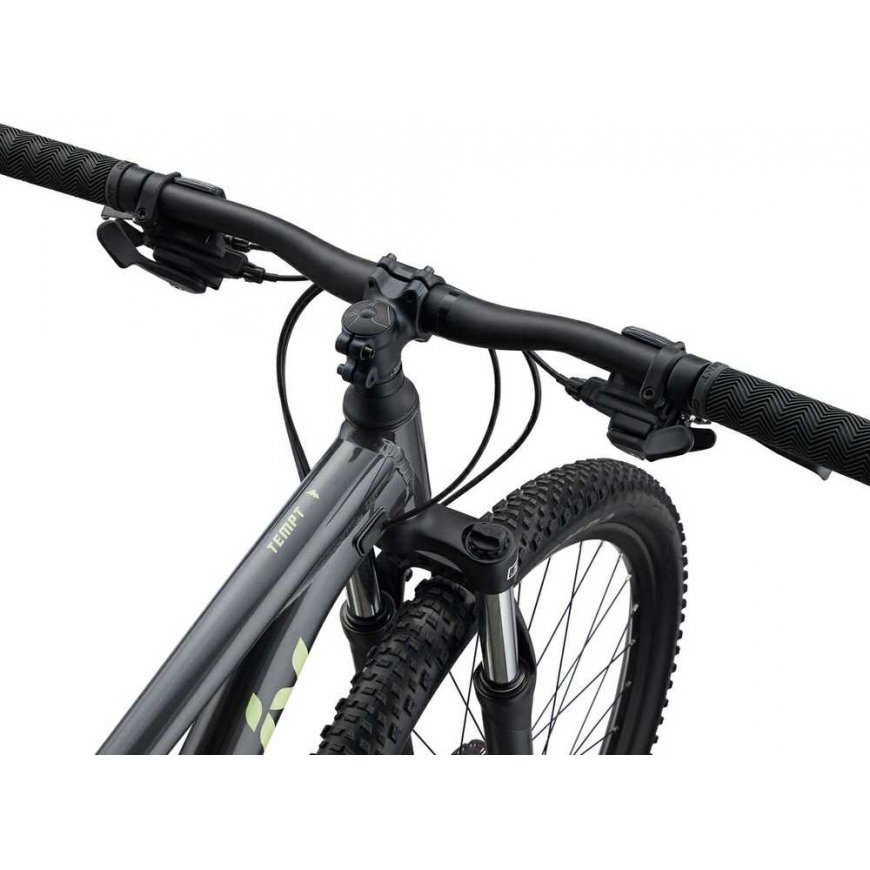 Kalnų dviratis Liv Tempt 29 4 Juodas Chrome – 3