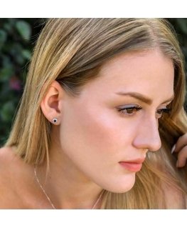 Beneto Shiny silver earrings with zircons AGUP2351L