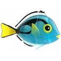 Weep Aquarium fish-surprise “GloQuarium”, glows in the dark Weep Aquarium fish-surprise “GloQuarium”, glows in the dark