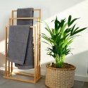 Zeller Present 13575 towel holder/ring Floorstanding Wood Zeller Present 13575 towel holder/ring Floorstanding Wood